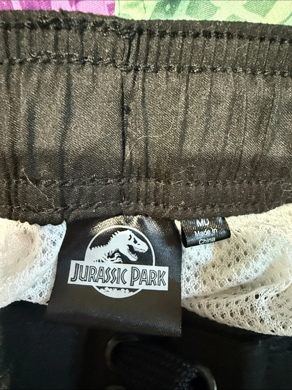 Two Swim Trunks (CARTERS-JURASSIC PARK)